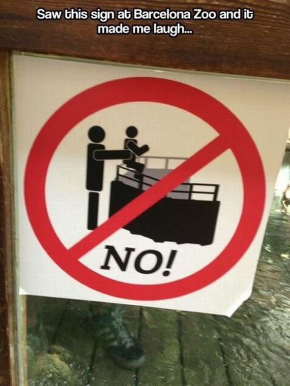 funny-pictures-578