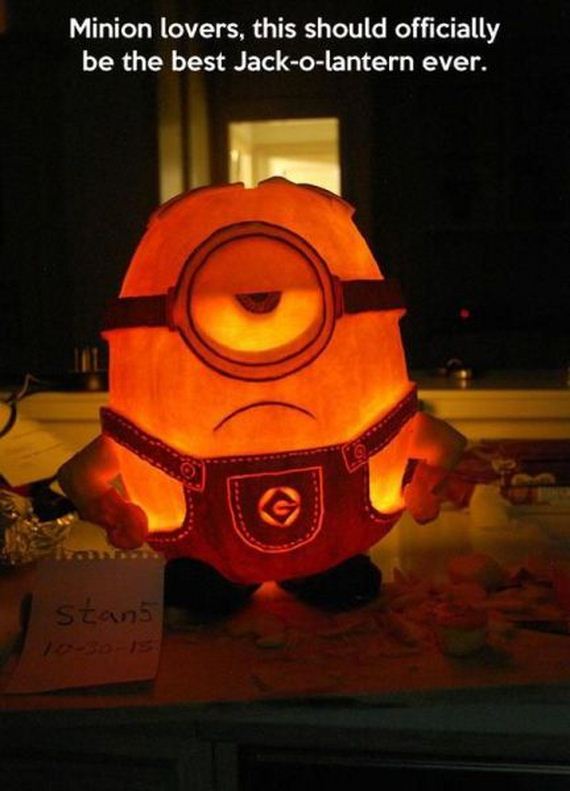 funny-pictures-578