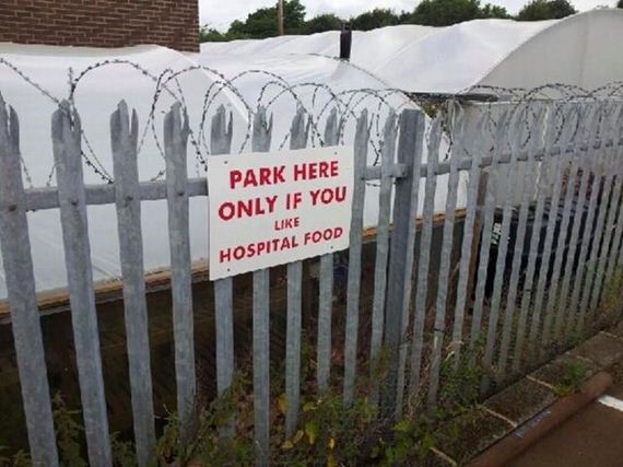 funny-pictures-579