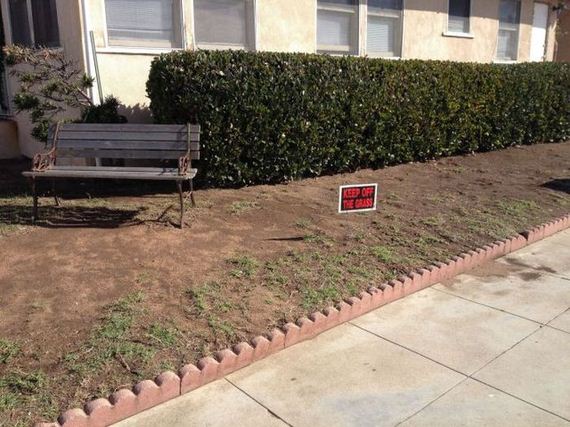 funny-pictures-579