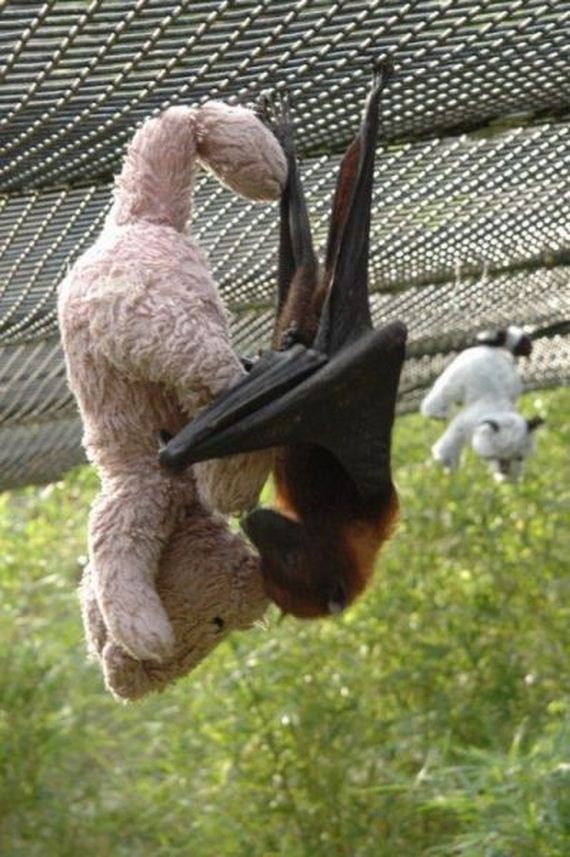 funny-pictures-580