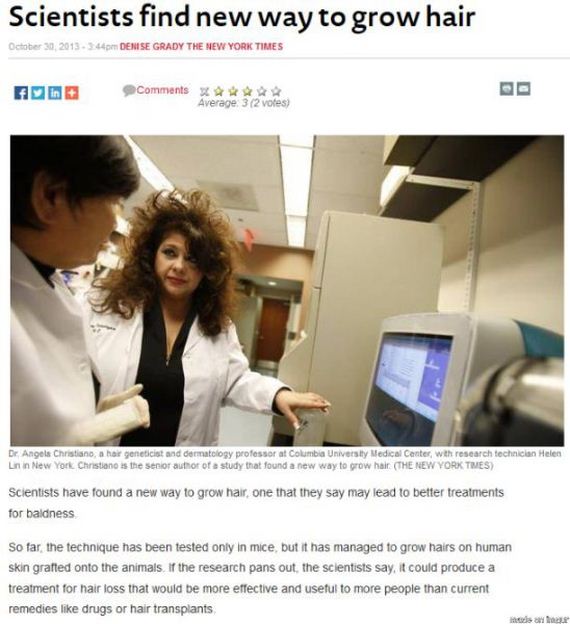 funny-pictures-580