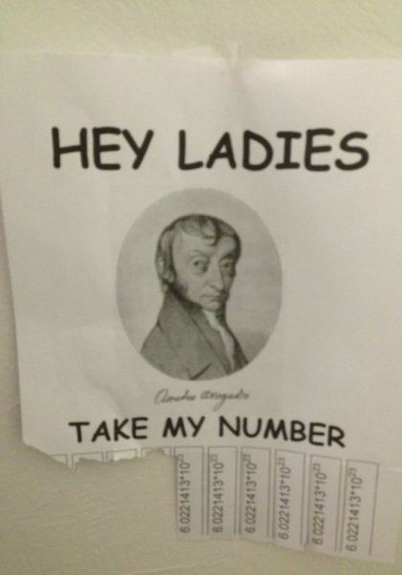 funny-pictures-580