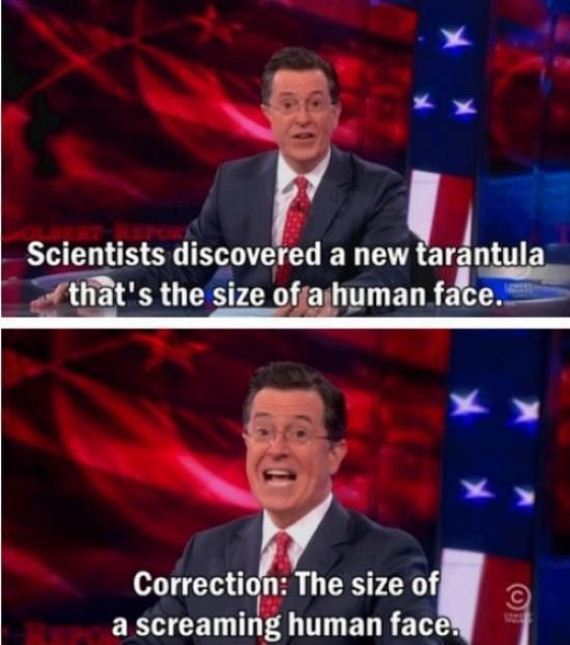 funny-pictures-580