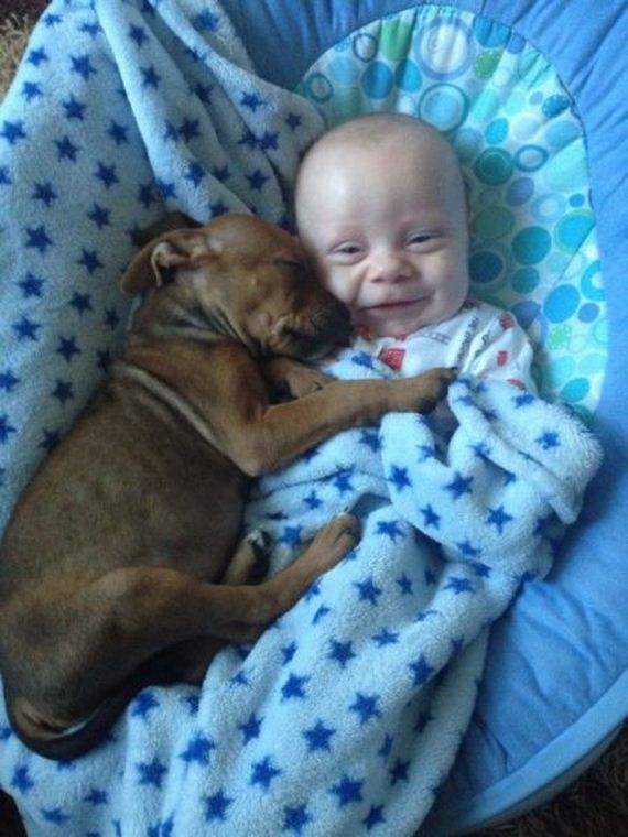 funny-pictures-581
