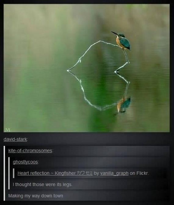 funny-pictures-581