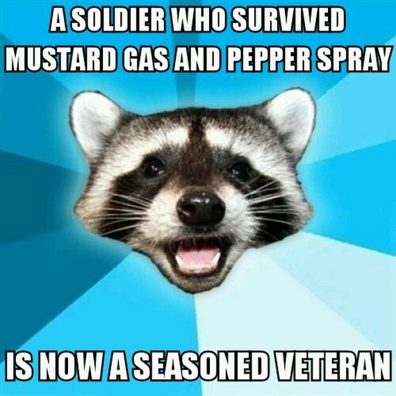 funny-pictures-581