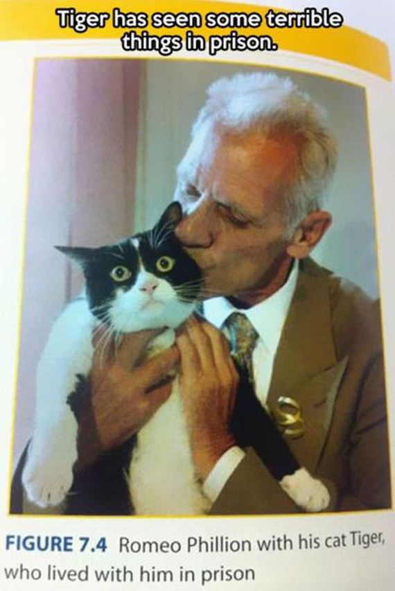 funny-pictures-581