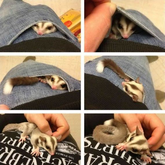funny-pictures-581