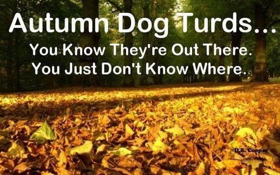 funny-pictures-582