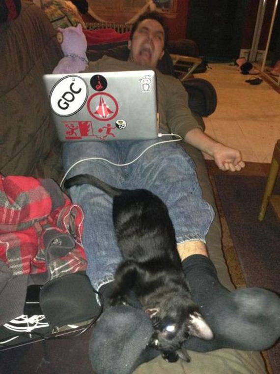 funny-pictures-582