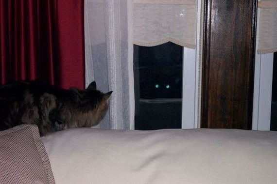 funny-pictures-582