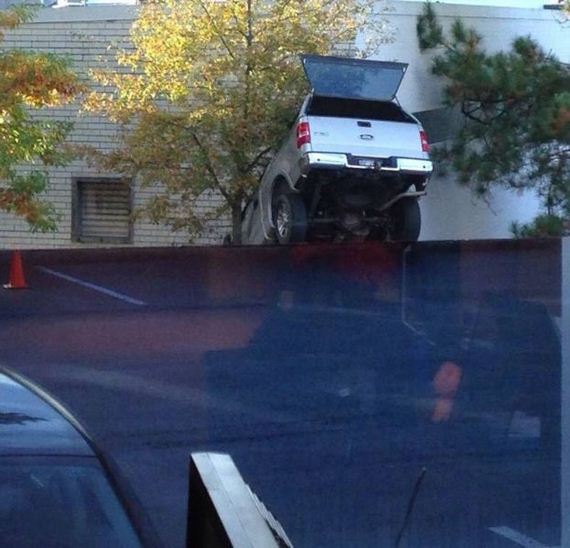 funny-pictures-582