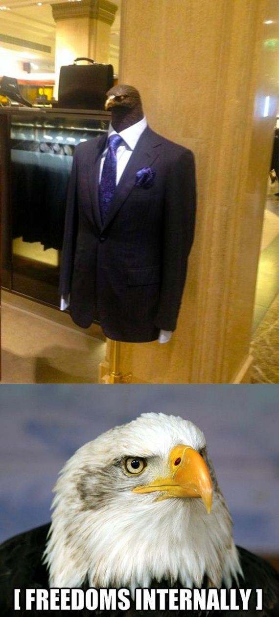funny-pictures-582