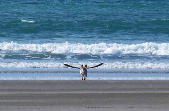 funny-pictures-582