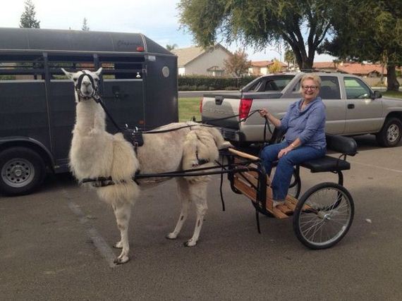 funny-pictures-583