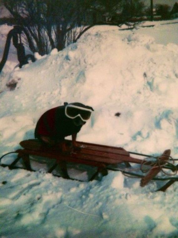 funny-pictures-583