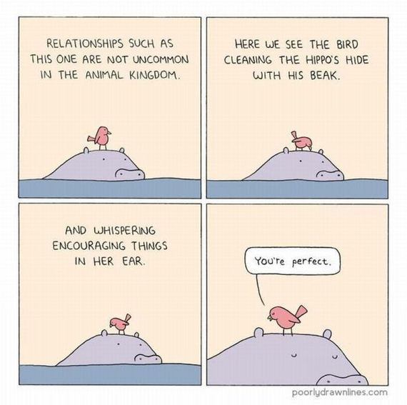 funny-pictures-583