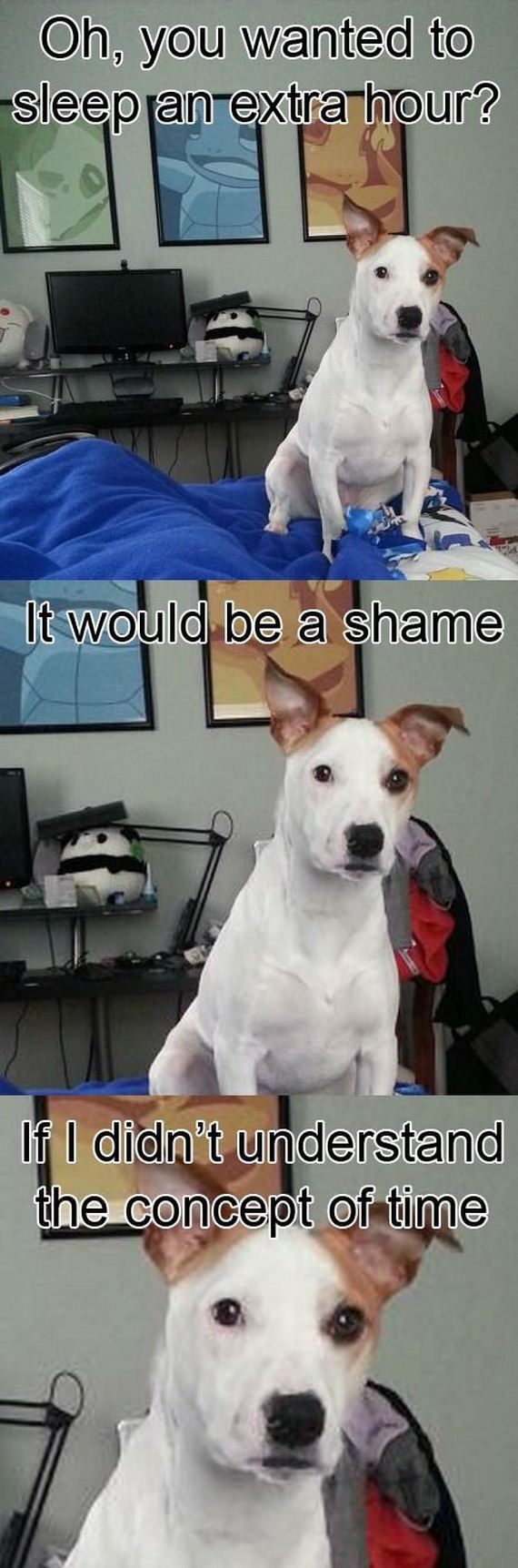 funny-pictures-583