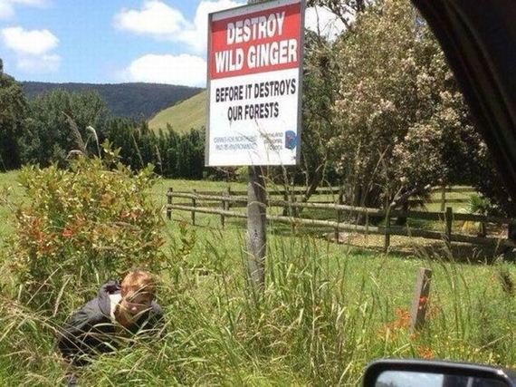 funny-pictures-583