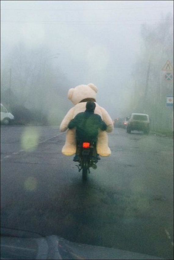 funny-pictures-583