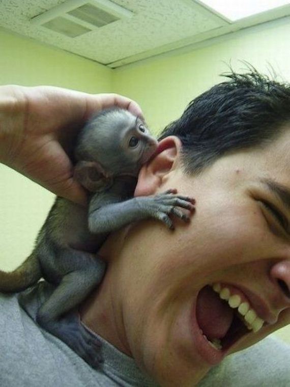 funny-pictures-583