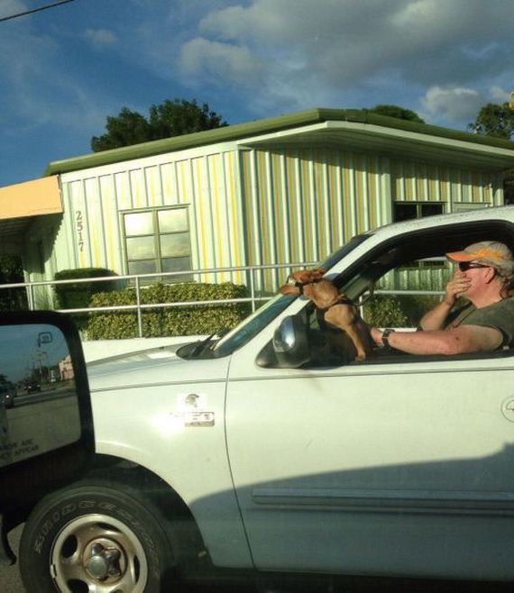 funny-pictures-583
