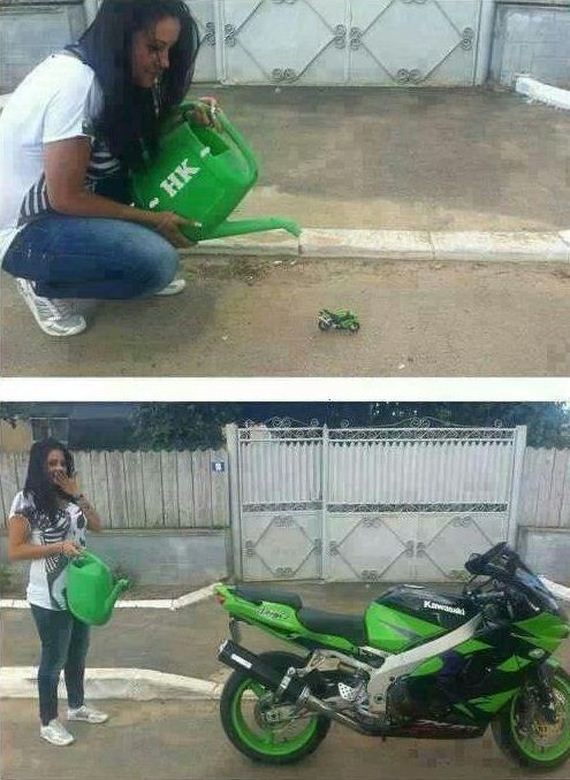 funny-pictures-584