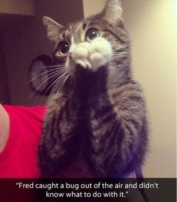 funny-pictures-584