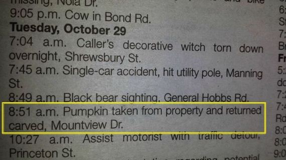 funny-pictures-584