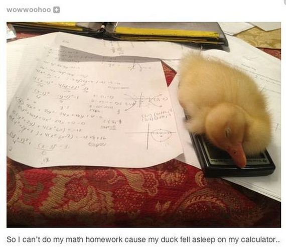 funny-pictures-584