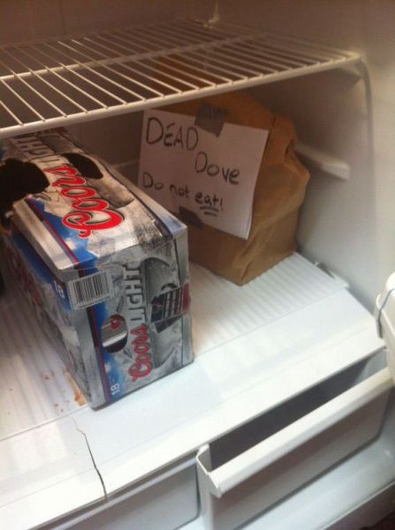 funny-pictures-584