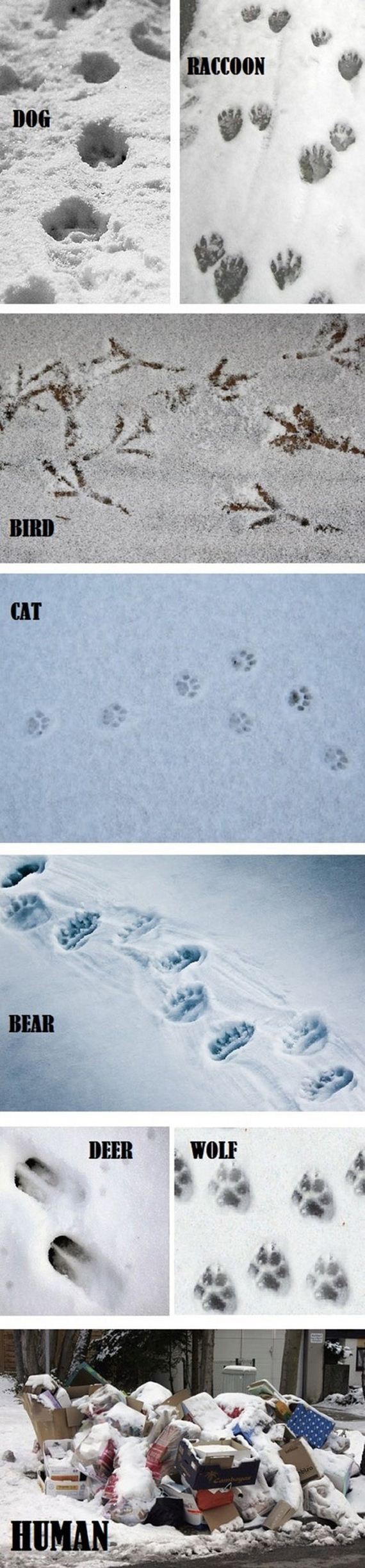 funny-pictures-585
