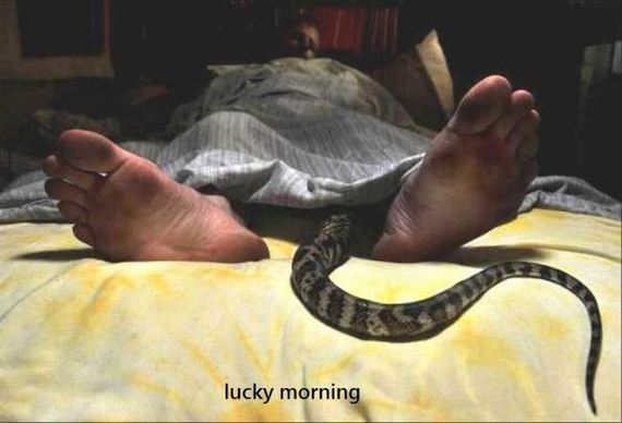 funny-pictures-585