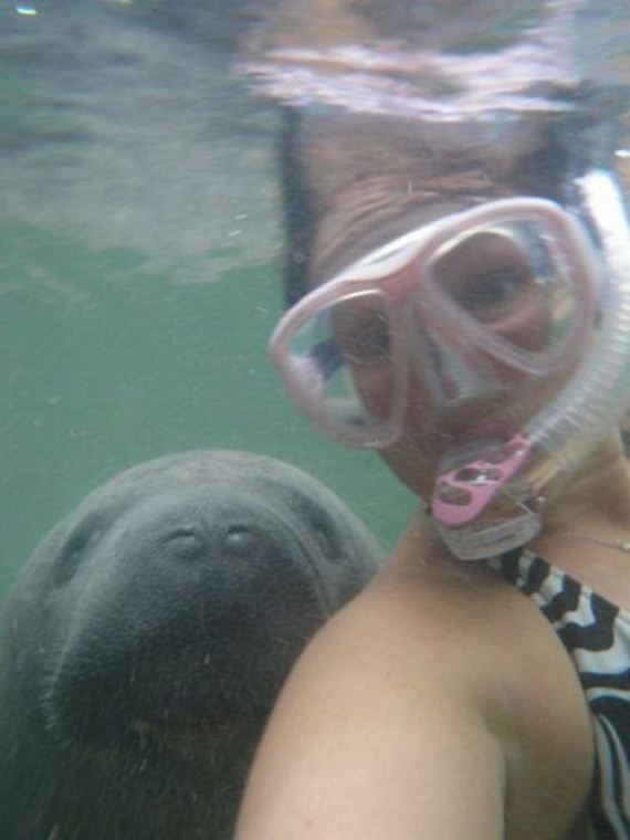 funny-pictures-585