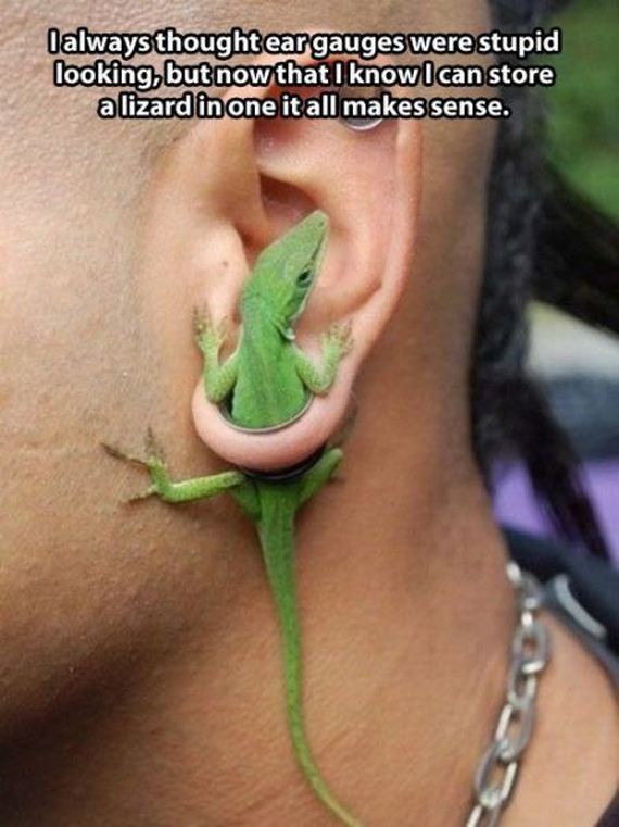 funny-pictures-585