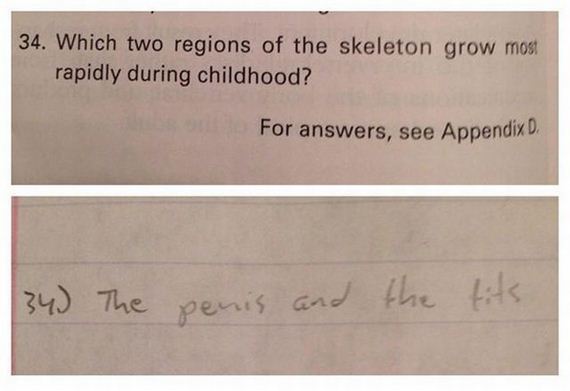 funny-pictures-585