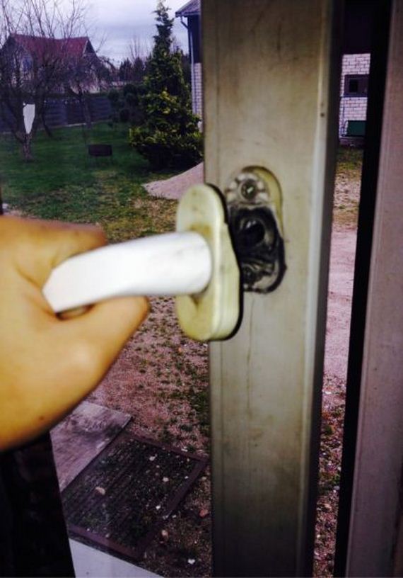 funny-pictures-585