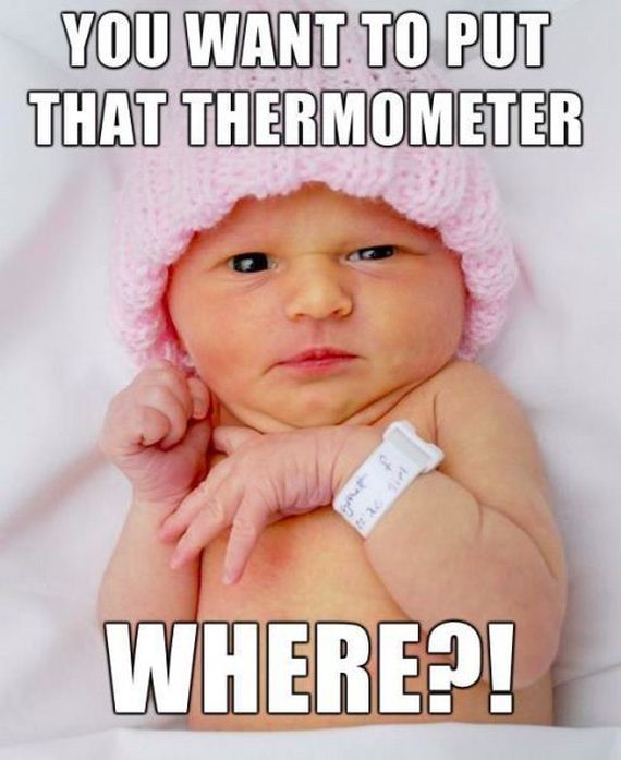 funny-pictures-585