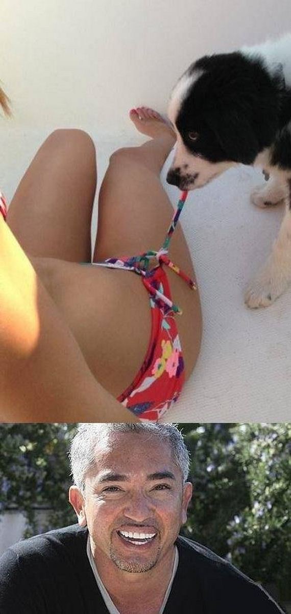 funny-pictures-586