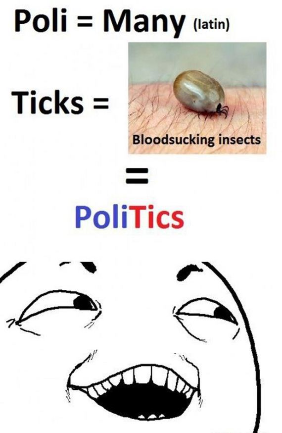 funny-pictures-586