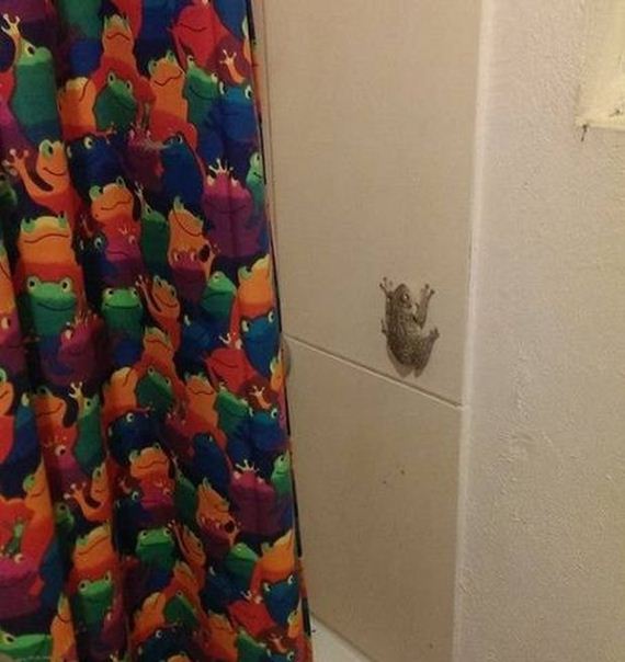 funny-pictures-586