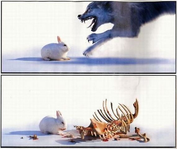funny-pictures-586