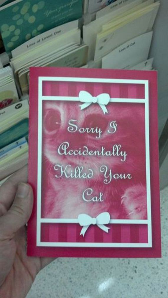 funny-pictures-586