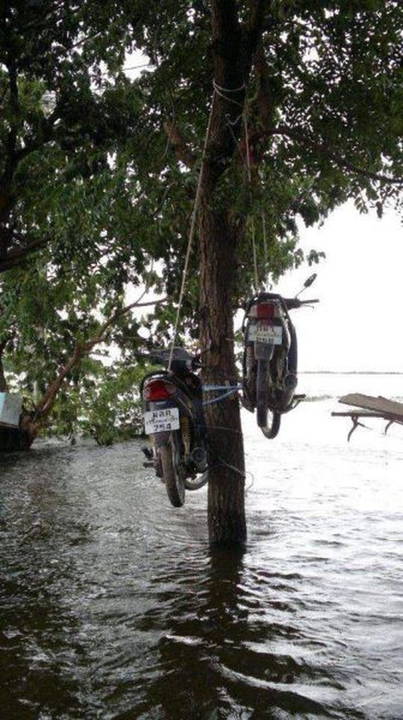 funny-pictures-586
