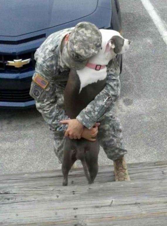 funny-pictures-586