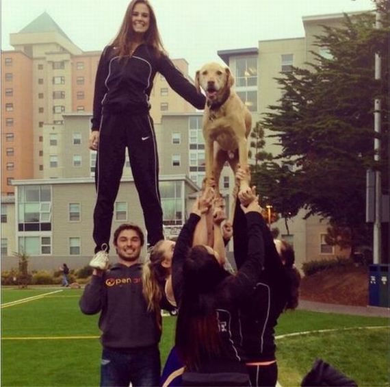 funny-pictures-587
