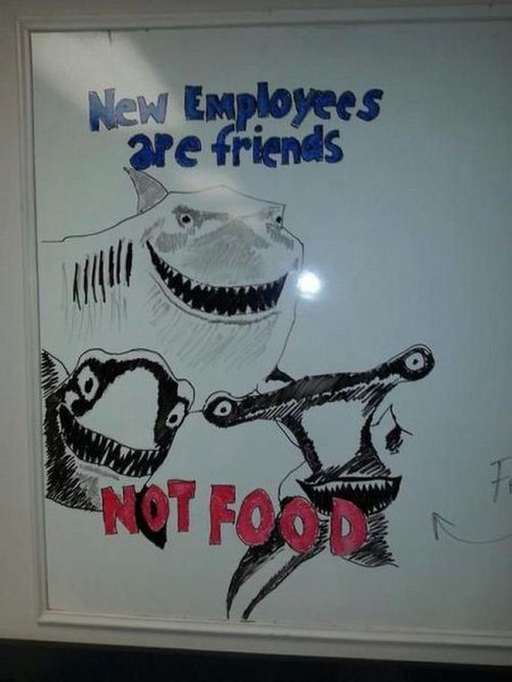 funny-pictures-587