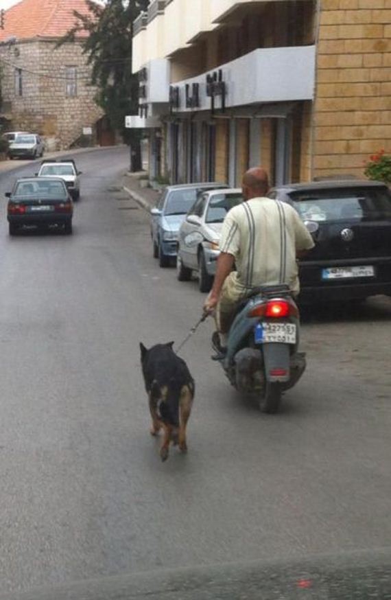 funny-pictures-587