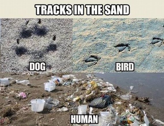 funny-pictures-587